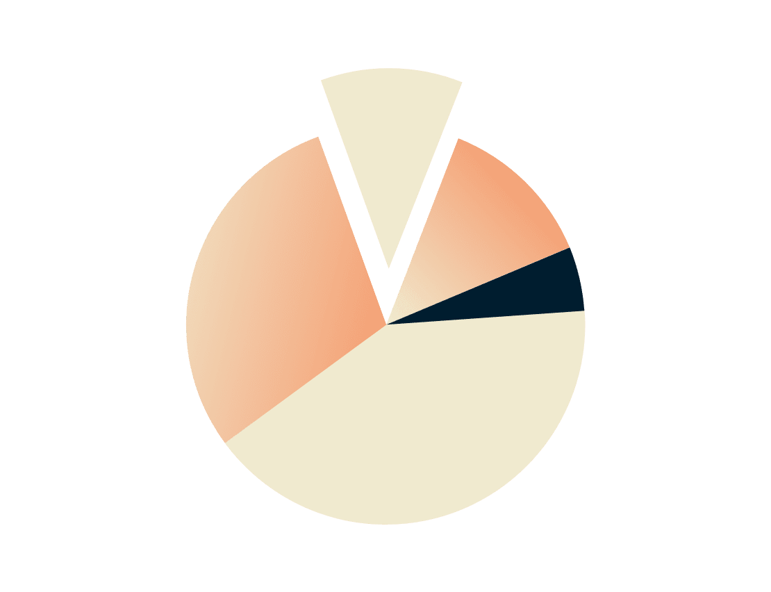 cirkeldiagram.